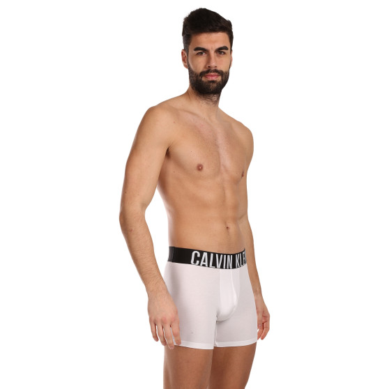 3PACK Boxershorts til mænd Calvin Klein flerfarvet (NB3609A-MP1)