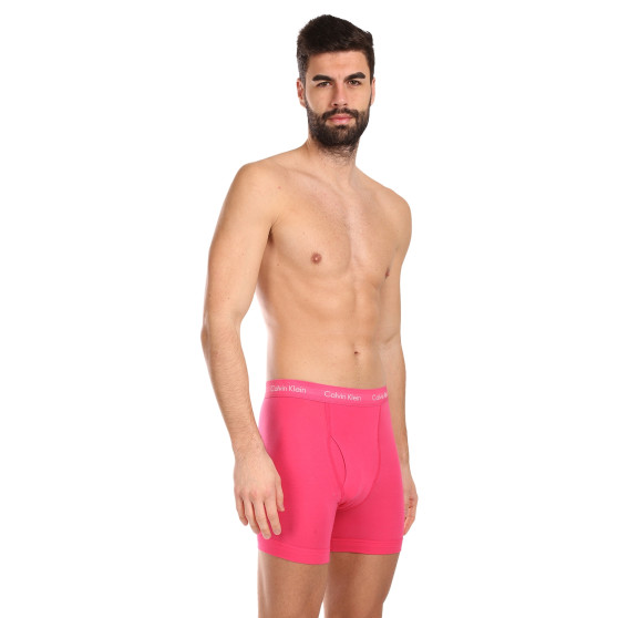 3PACK Boxershorts til mænd Calvin Klein flerfarvet (NB2616A-NLT)