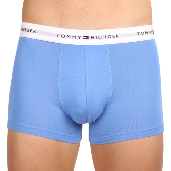 3PACK Boxershorts til mænd Tommy Hilfiger flerfarvet (UM0UM02761 0XN)