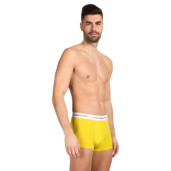 3PACK Boxershorts til mænd Tommy Hilfiger flerfarvet (UM0UM02761 0XN)