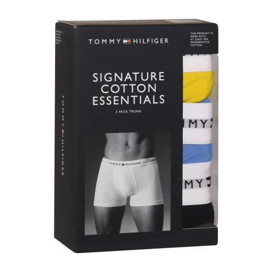 3PACK Boxershorts til mænd Tommy Hilfiger flerfarvet (UM0UM02761 0XN)