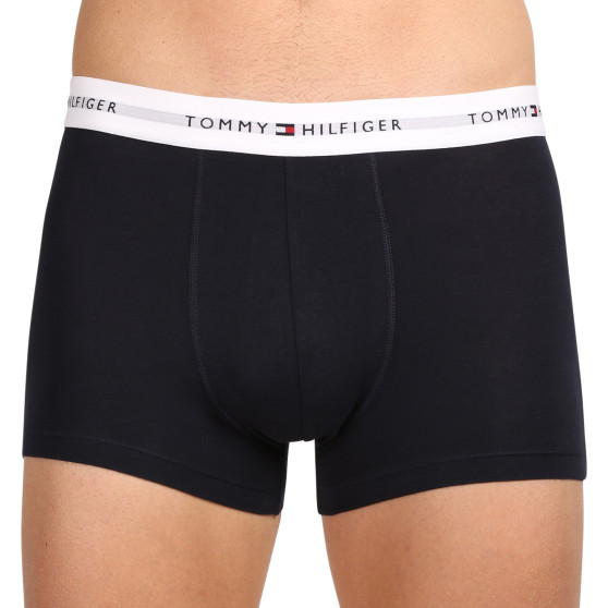 3PACK Boxershorts til mænd Tommy Hilfiger flerfarvet (UM0UM02761 0YV)