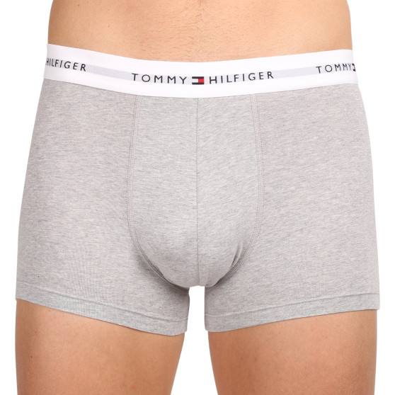 3PACK Boxershorts til mænd Tommy Hilfiger flerfarvet (UM0UM02761 0YV)