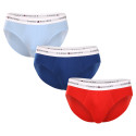 3PACK Trusser til mænd Tommy Hilfiger flerfarvet (UM0UM02764 0XZ)