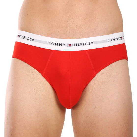 3PACK Trusser til mænd Tommy Hilfiger flerfarvet (UM0UM02764 0XZ)