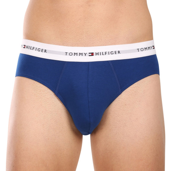 3PACK Trusser til mænd Tommy Hilfiger flerfarvet (UM0UM02764 0XZ)