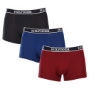 3PACK Boxershorts til mænd Tommy Hilfiger flerfarvet (UM0UM03185 0SX)