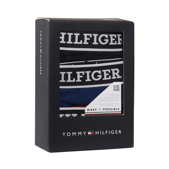 3PACK Boxershorts til mænd Tommy Hilfiger flerfarvet (UM0UM03185 0SX)