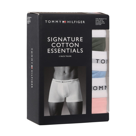 3PACK Boxershorts til mænd Tommy Hilfiger flerfarvet (UM0UM02761 0XP)