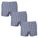 3PACK Boxershorts til mænd Foltýn flerfarvet overstørrelse (3xKN80)