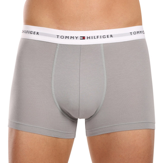 3PACK Boxershorts til mænd Tommy Hilfiger flerfarvet (UM0UM02768 0Y1)