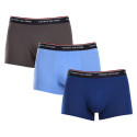 3PACK Boxershorts til mænd Tommy Hilfiger flerfarvet (1U87903842 0SS)