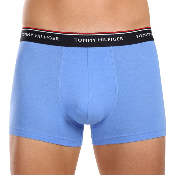 3PACK Boxershorts til mænd Tommy Hilfiger flerfarvet (1U87903842 0SS)