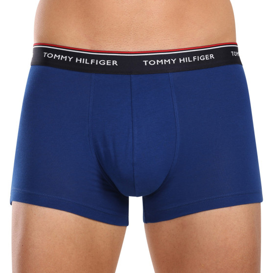 3PACK Boxershorts til mænd Tommy Hilfiger flerfarvet (1U87903842 0SS)