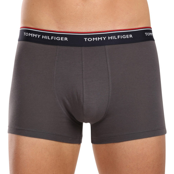 3PACK Boxershorts til mænd Tommy Hilfiger flerfarvet (1U87903842 0SS)