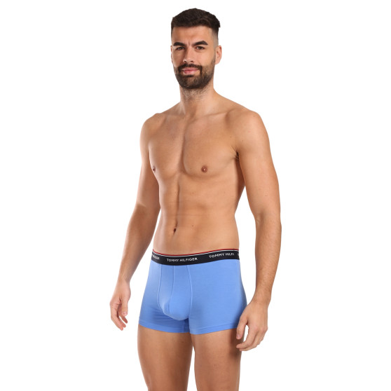 3PACK Boxershorts til mænd Tommy Hilfiger flerfarvet (1U87903842 0SS)