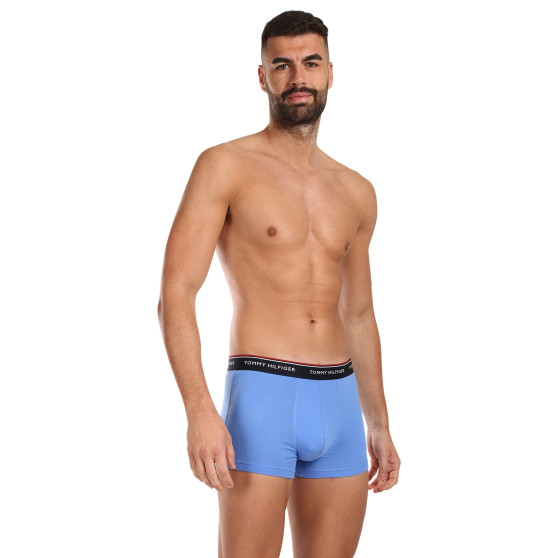 3PACK Boxershorts til mænd Tommy Hilfiger flerfarvet (1U87903842 0SS)