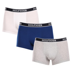 3PACK Boxershorts til mænd Tommy Hilfiger flerfarvet (UM0UM03185 0YZ)