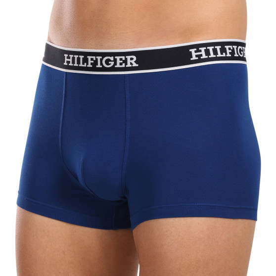 3PACK Boxershorts til mænd Tommy Hilfiger flerfarvet (UM0UM03185 0YZ)