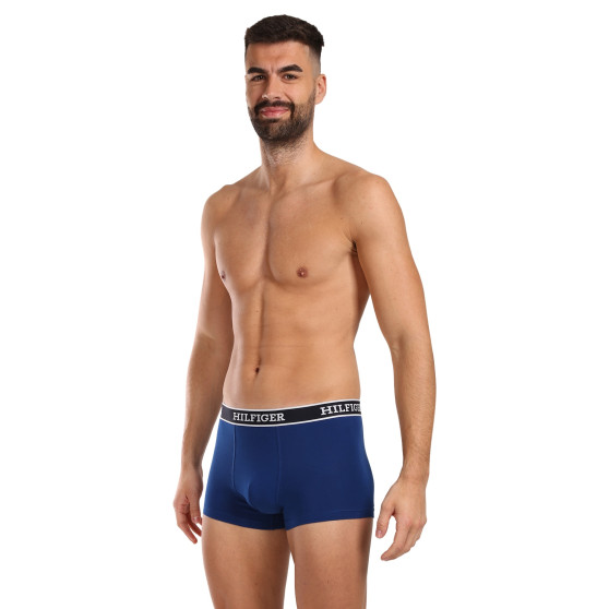 3PACK Boxershorts til mænd Tommy Hilfiger flerfarvet (UM0UM03185 0YZ)