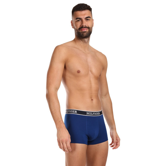 3PACK Boxershorts til mænd Tommy Hilfiger flerfarvet (UM0UM03185 0YZ)