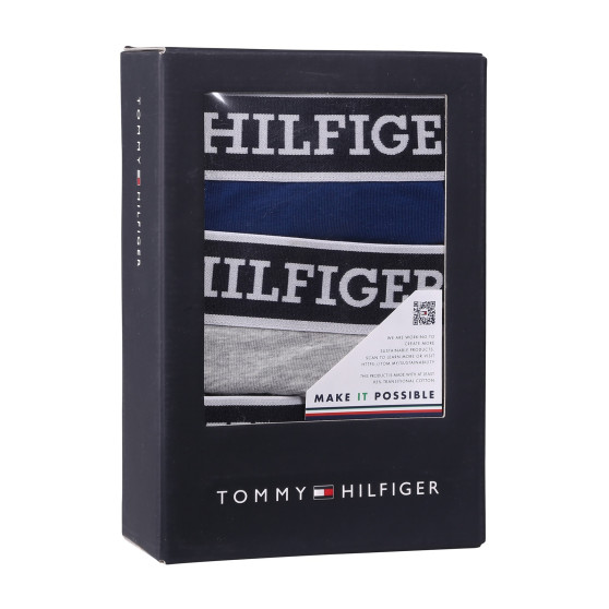 3PACK Boxershorts til mænd Tommy Hilfiger flerfarvet (UM0UM03185 0YZ)