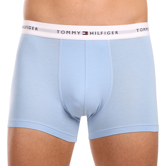 3PACK Boxershorts til mænd Tommy Hilfiger flerfarvet (UM0UM02768 0Y2)