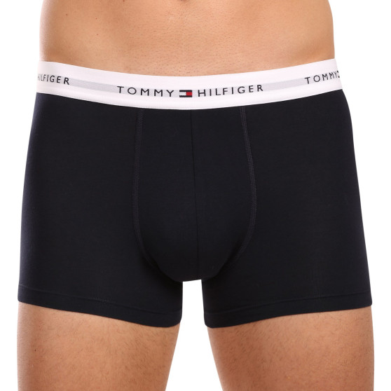 3PACK Boxershorts til mænd Tommy Hilfiger flerfarvet (UM0UM02768 0Y2)