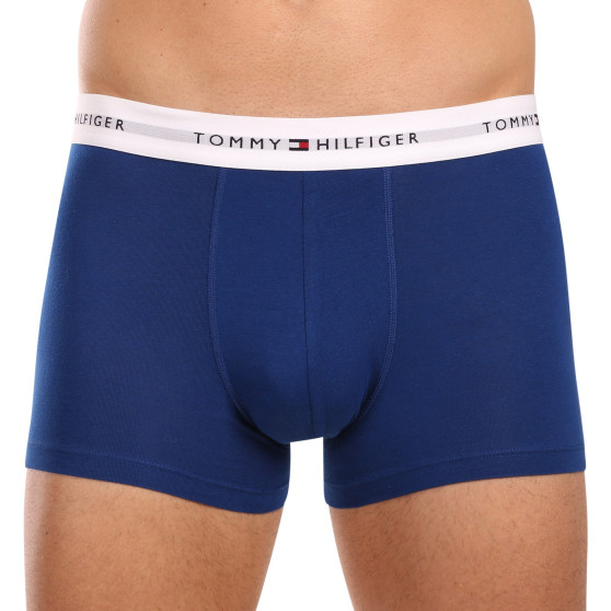 3PACK Boxershorts til mænd Tommy Hilfiger flerfarvet (UM0UM02761 0XZ)