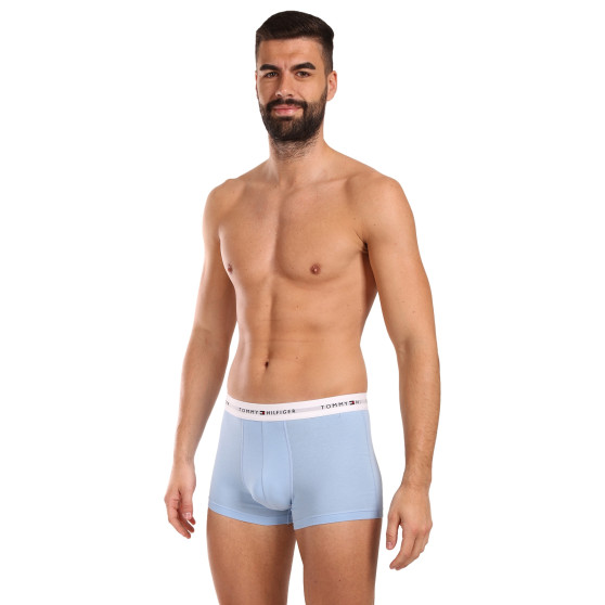 3PACK Boxershorts til mænd Tommy Hilfiger flerfarvet (UM0UM02761 0XZ)