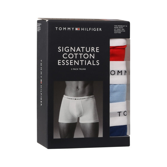 3PACK Boxershorts til mænd Tommy Hilfiger flerfarvet (UM0UM02761 0XZ)