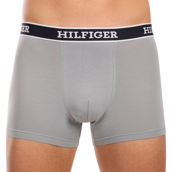 3PACK Boxershorts til mænd Tommy Hilfiger flerfarvet (UM0UM03185 0UM)