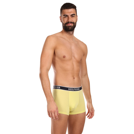 3PACK Boxershorts til mænd Tommy Hilfiger flerfarvet (UM0UM03185 0UM)