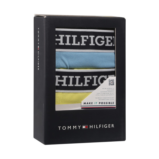 3PACK Boxershorts til mænd Tommy Hilfiger flerfarvet (UM0UM03185 0UM)