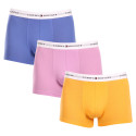 3PACK Boxershorts til mænd Tommy Hilfiger flerfarvet (UM0UM02761 0VI)