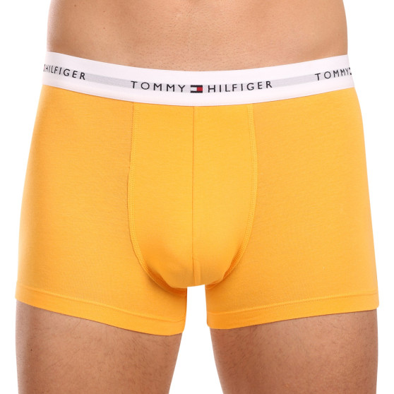 3PACK Boxershorts til mænd Tommy Hilfiger flerfarvet (UM0UM02761 0VI)