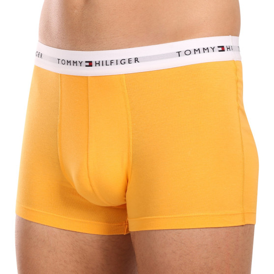 3PACK Boxershorts til mænd Tommy Hilfiger flerfarvet (UM0UM02761 0VI)