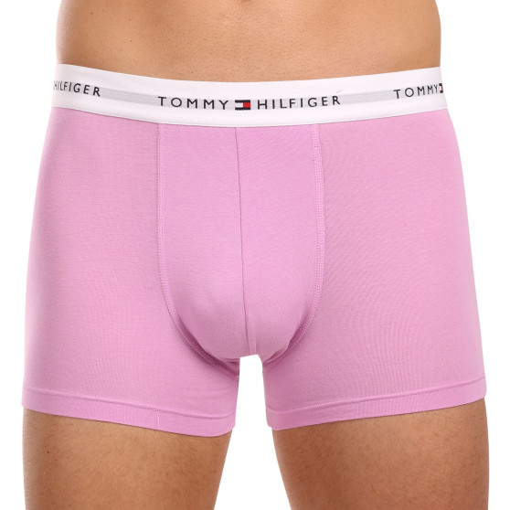 3PACK Boxershorts til mænd Tommy Hilfiger flerfarvet (UM0UM02761 0VI)