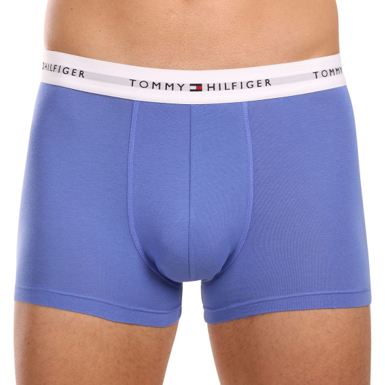 3PACK Boxershorts til mænd Tommy Hilfiger flerfarvet (UM0UM02761 0VI)