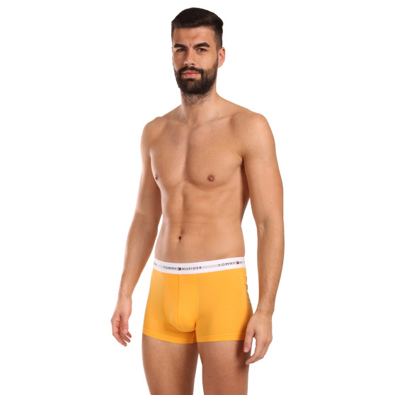 3PACK Boxershorts til mænd Tommy Hilfiger flerfarvet (UM0UM02761 0VI)