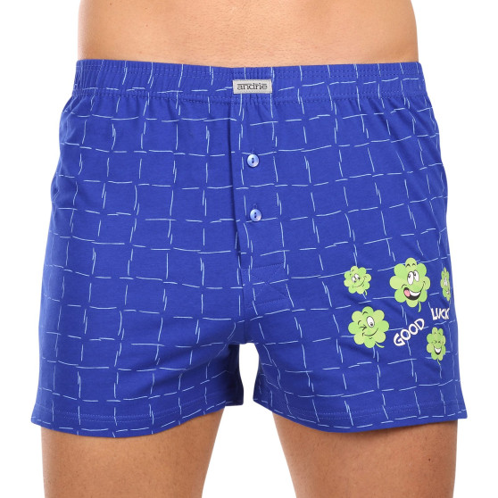 3PACK Boxershorts til mænd Andrie flerfarvet (PS 5801)