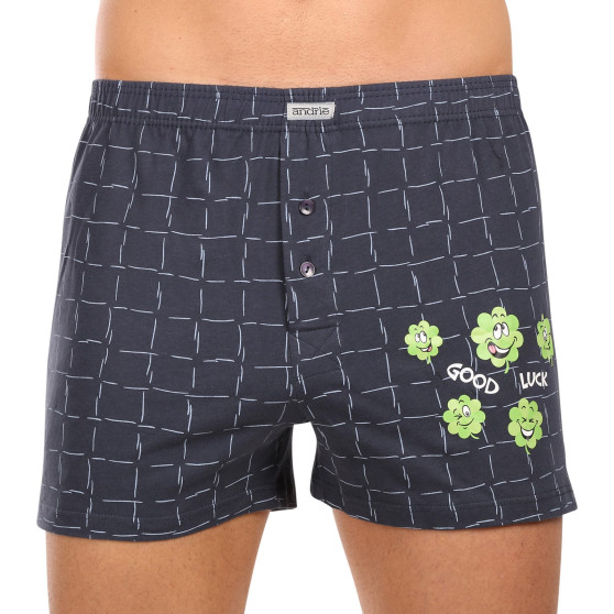 3PACK Boxershorts til mænd Andrie flerfarvet (PS 5801)