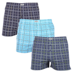 3PACK Boxershorts til mænd Andrie flerfarvet (PS 5805)