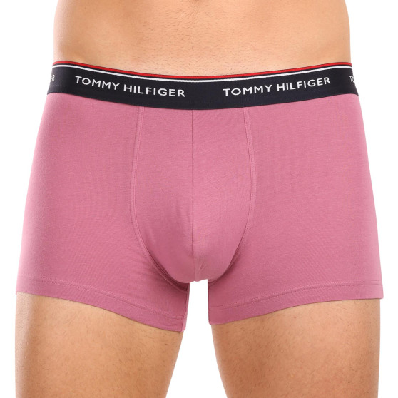 3PACK Boxershorts til mænd Tommy Hilfiger flerfarvet (1U87903842 0XV)