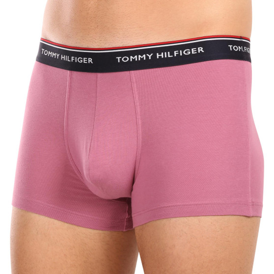 3PACK Boxershorts til mænd Tommy Hilfiger flerfarvet (1U87903842 0XV)