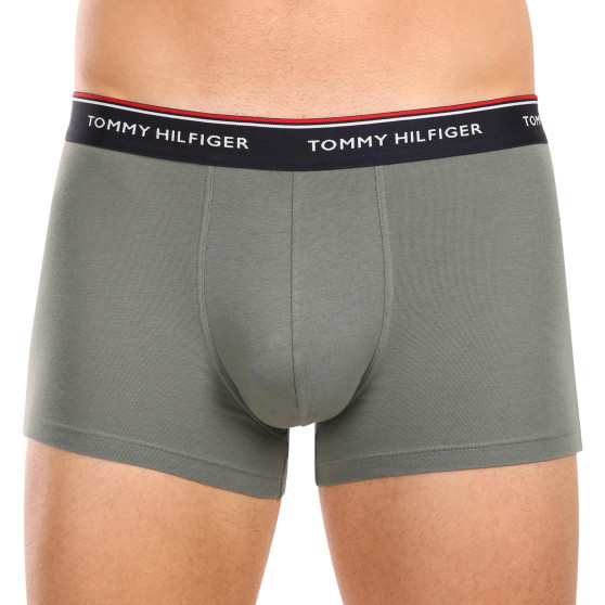 3PACK Boxershorts til mænd Tommy Hilfiger flerfarvet (1U87903842 0XV)