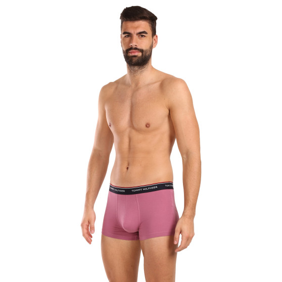 3PACK Boxershorts til mænd Tommy Hilfiger flerfarvet (1U87903842 0XV)