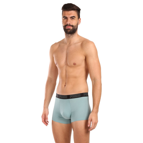 2PACK Boxershorts til mænd Puma flerfarvet (100000884 054)