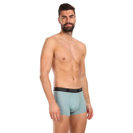 2PACK Boxershorts til mænd Puma flerfarvet (100000884 054)