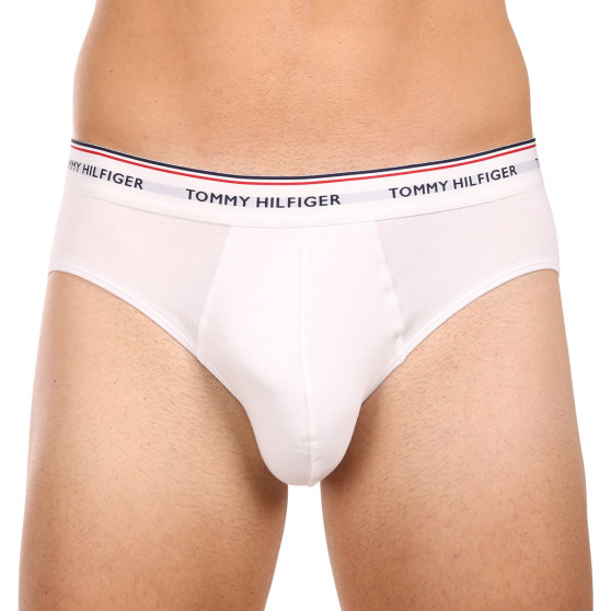 3PACK Trusser til mænd Tommy Hilfiger flerfarvet (1U87903766 004)